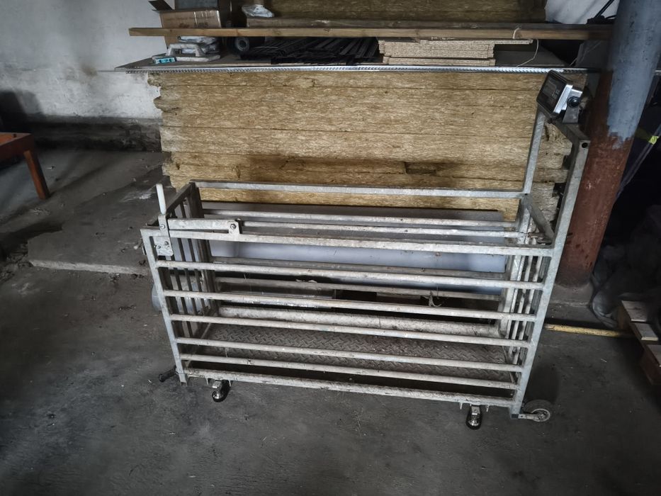 Waga do trzody chlewnej