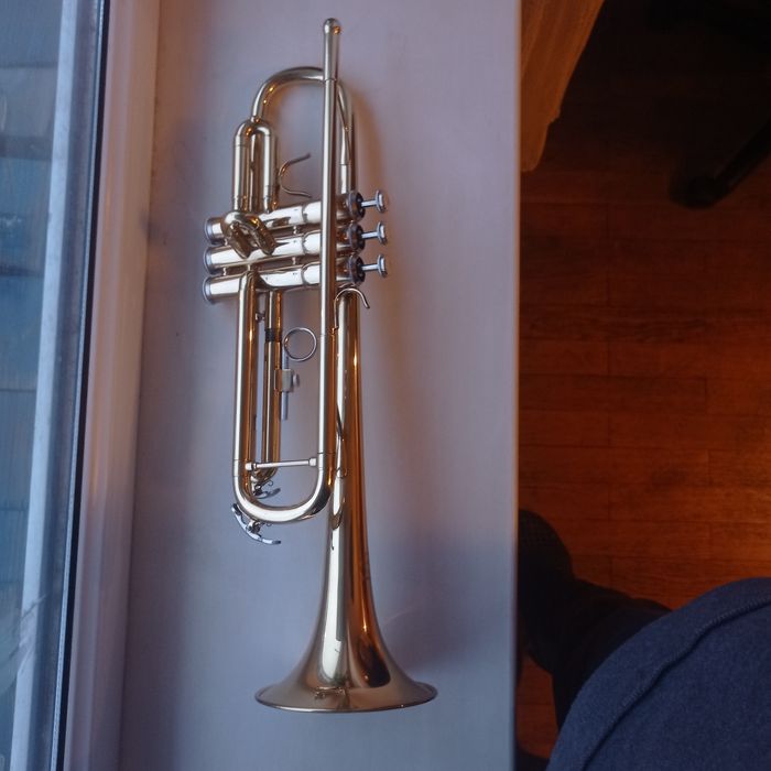 Труба Maxtone  НОВИЙ / NOS / кейс + мундштук / Київ