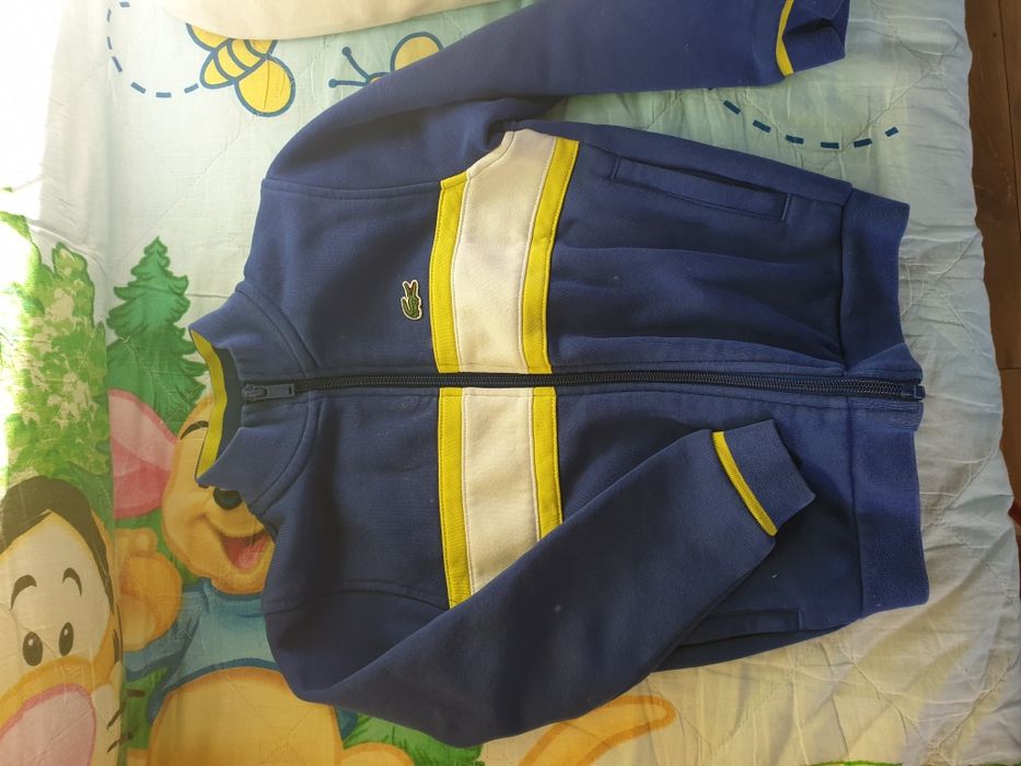 Bluza lacoste okazja oryginał