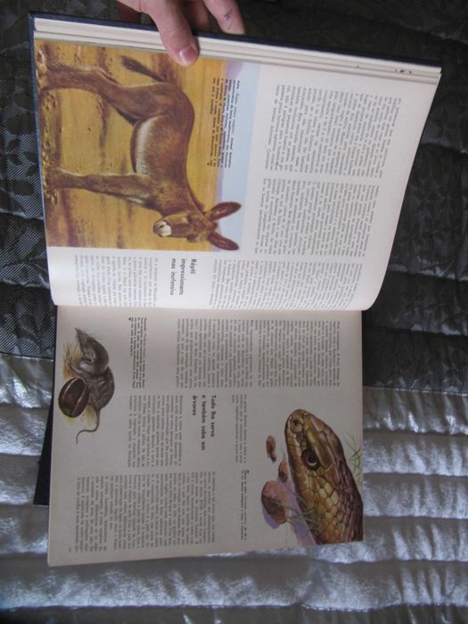 Enciclopédia- Fauna e Animais Selvagens-Alfa -Coleção COMPLETA 16 vols