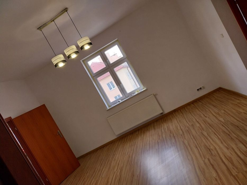 Sprzątanie i usługi ogrodnicze – Jarocin i okolice