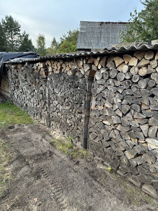 Wysezonowany  dąb