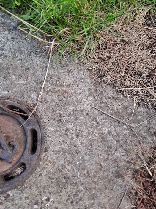 Prądnica c360i regulator