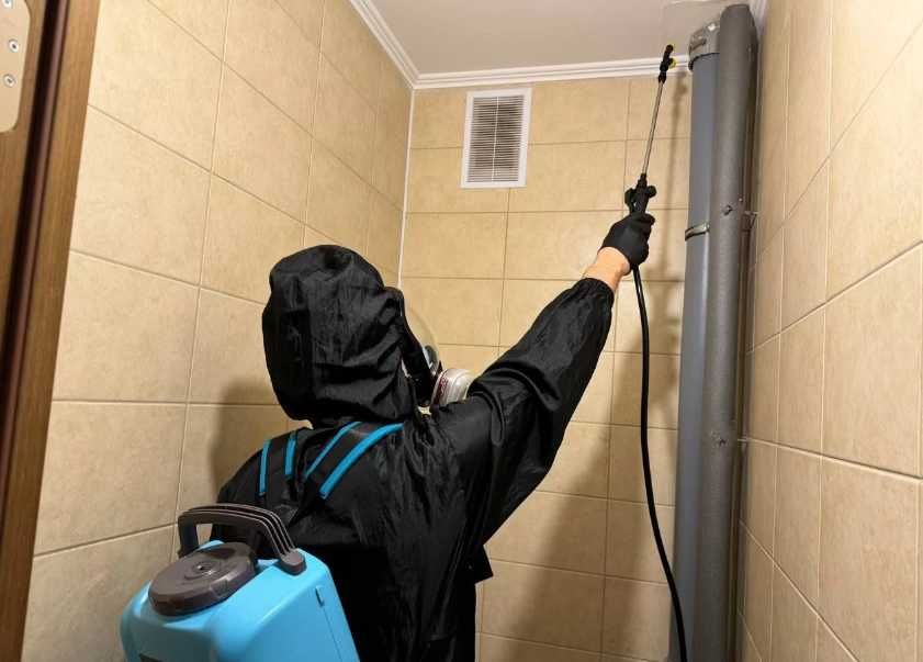 Травля тараканов безопасная санитарная обработка жилья