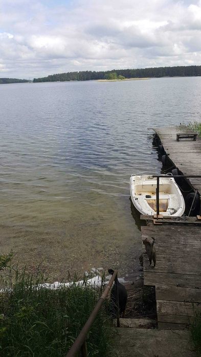 Domek nad Jeziorem Rajgrodzkim | Prywatny Pomost i Łódka | Mazury | Rajgród