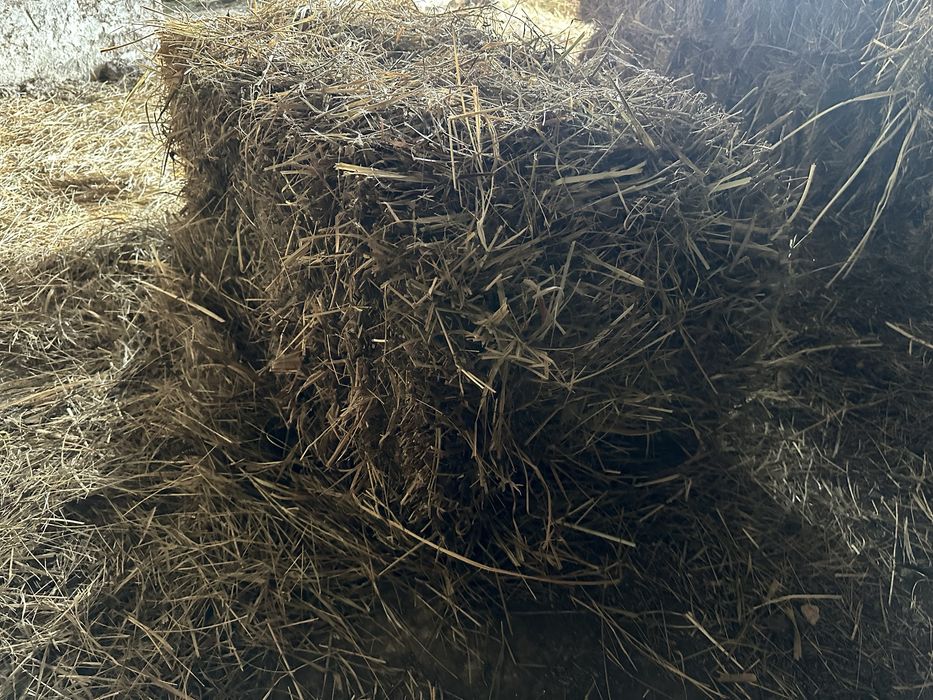 Продається    сіно  різнотравя