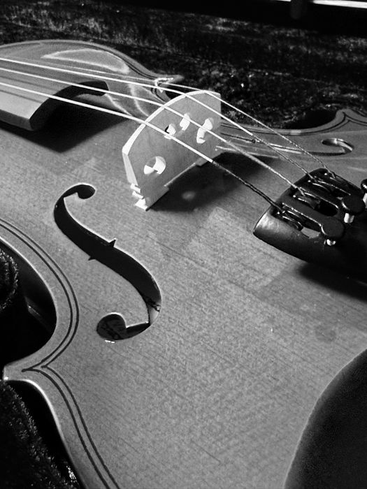 Продам Скрипку Maxtone 4/4