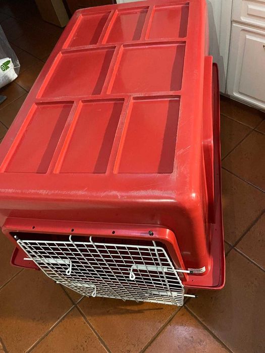 Caixa de transporte para cão porte grande