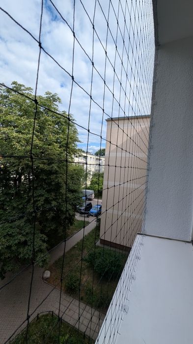 Siatka na balkon dla kota, przeciw gołębiom