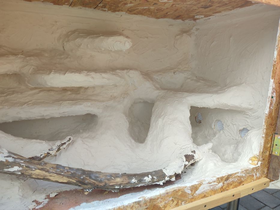 terarium dla jaszczurki (Agamy)