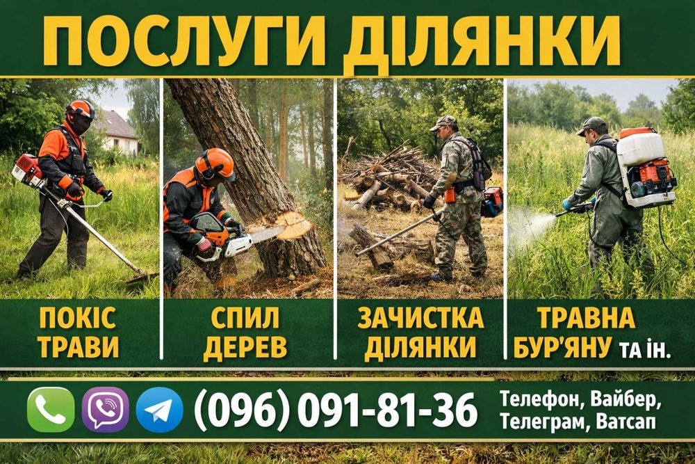 Косіння трави,спил дерев,зачистка ділянок