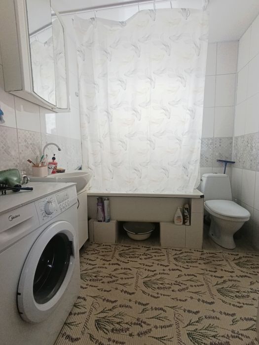 House in Auly, Kam'yanskyy rayon - View 4
