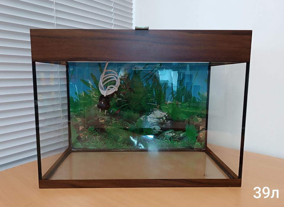Акваріум. Акваріуми різних розмірів.