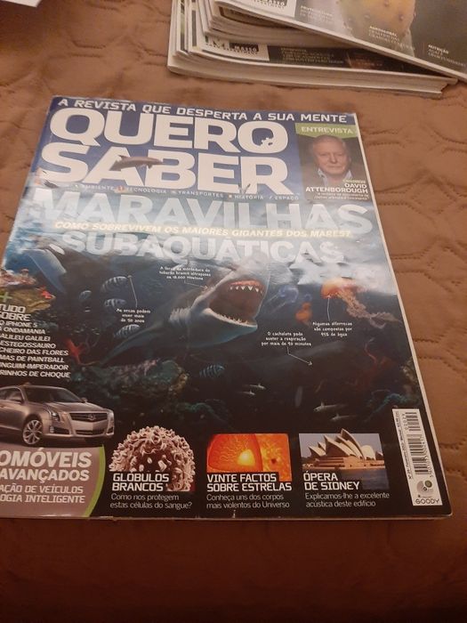 Revista quero saber maos