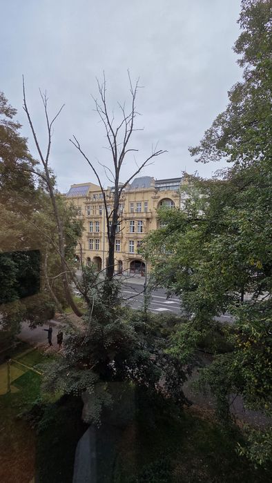 Zdjęcie 8