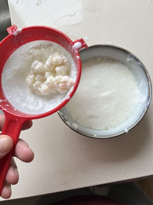 Kefir de leite.