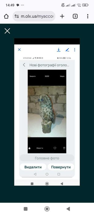 олень, баран,козел з рогами на стіну