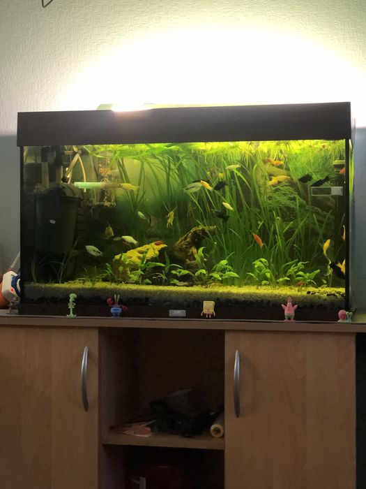 Продам акваріуми прямокутні 24-125л за доступними цінами