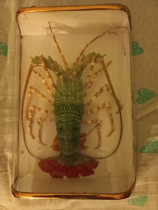 Картина морской  краб.