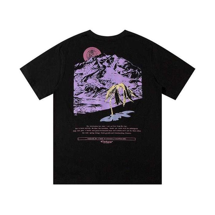 Футболка Carhartt WIP Carhartt Logo Mountain Graphic / XS-2XL