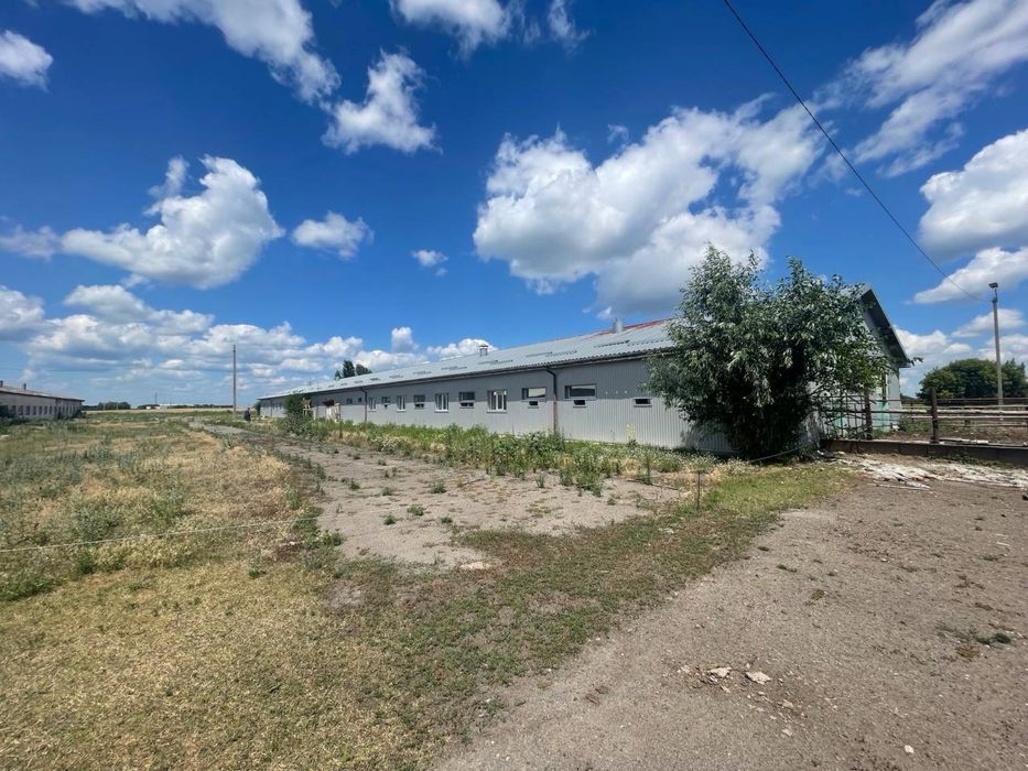 Продається тваринницький комплекс — с. Гельмязів, Черкаська обл.