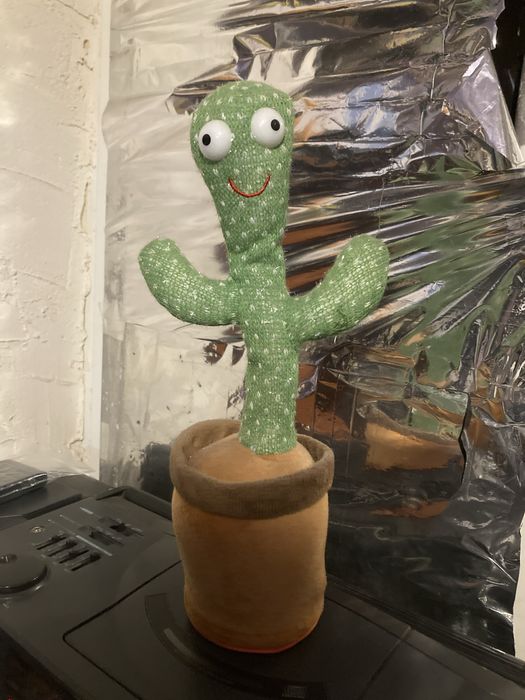 Той самий мемний кактус із тік-тока.