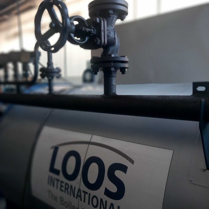 Wytwornica pary, Kocioł parowy LOOS DF 2000