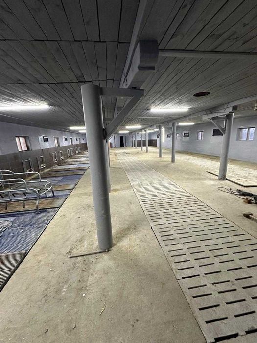 Ферма, господарські будівлі та споруди