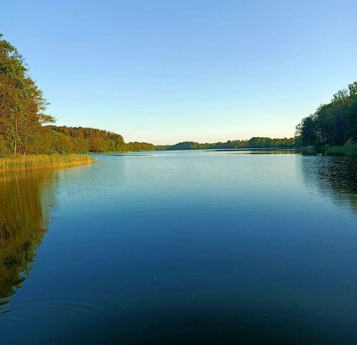 Domki i pokoje NA FARMIE Lubiewo gm. Mikołajki