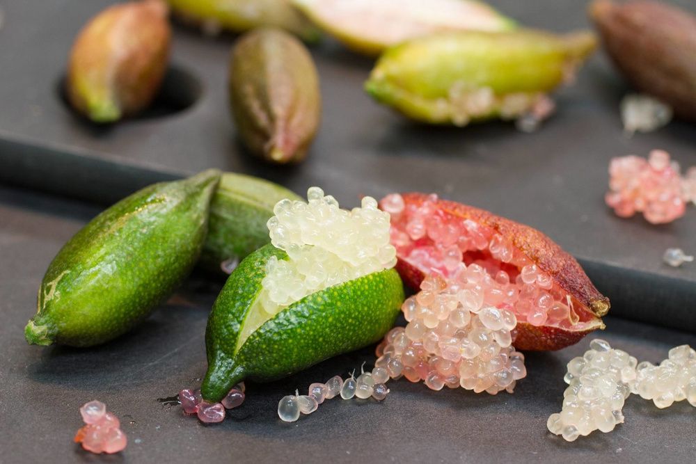 Лайм «Фингер», Комнатный