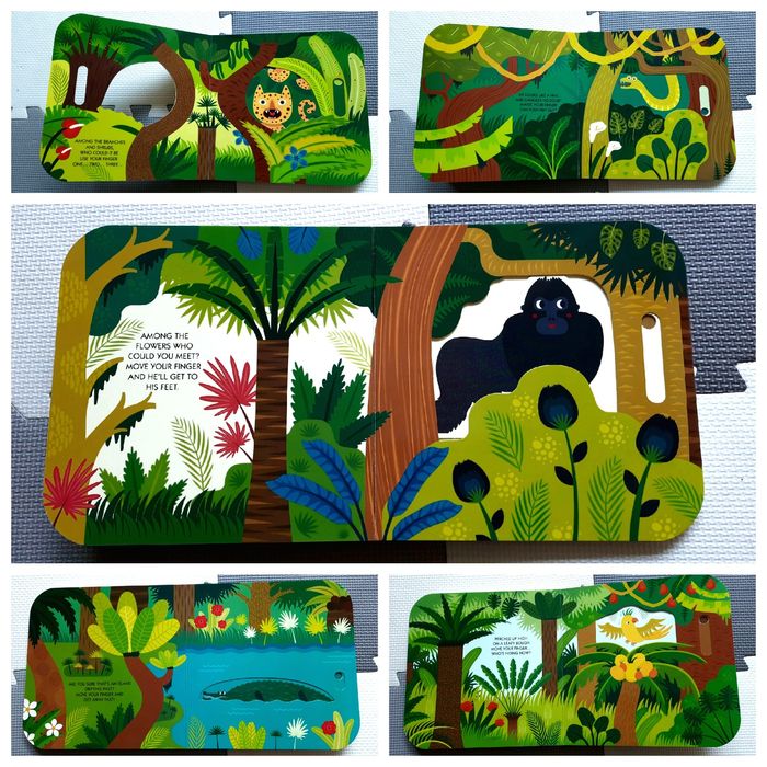 Who's in the Jungle? przesuwanka sensoryczna po angielsku