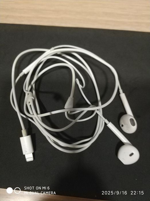 Навушники     Apple