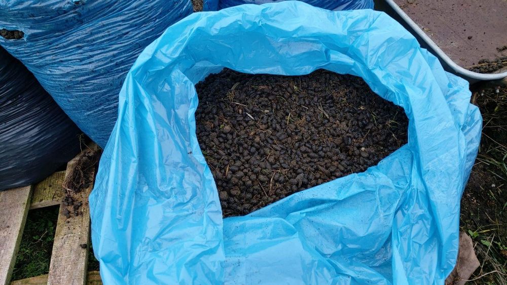 Obornik od alpak, ekologiczny nawóz.