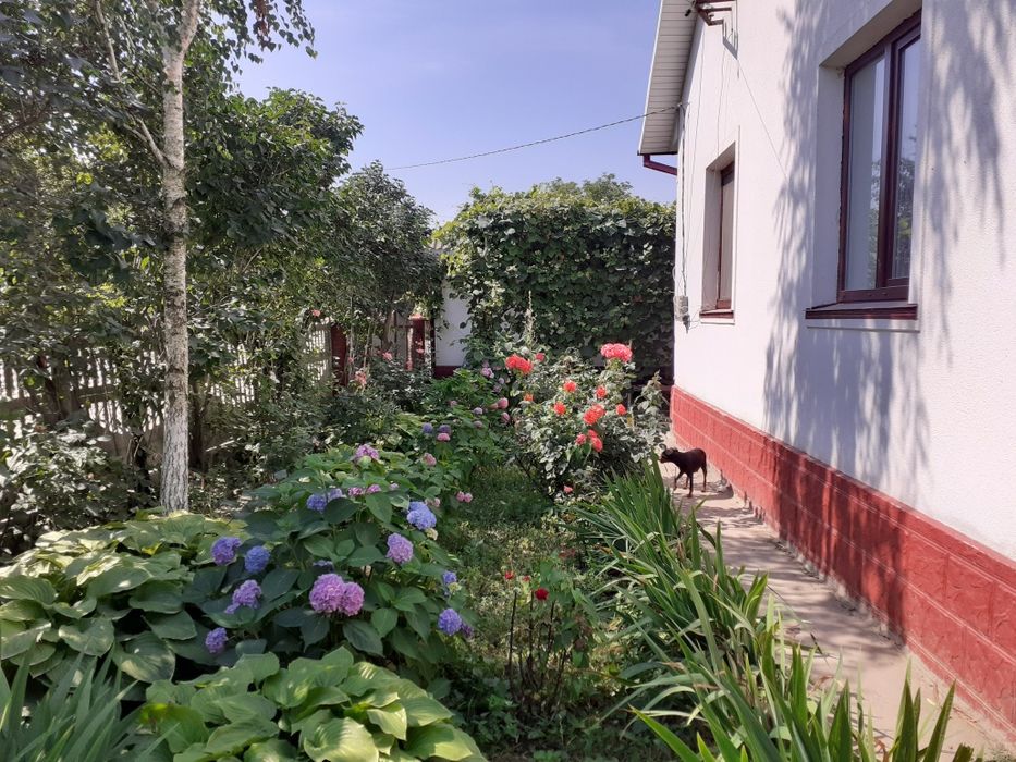 Продам будинок в центрі Неполоківців