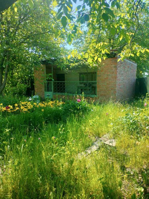 Продам  приватизовану земельну ділянку і дачу
