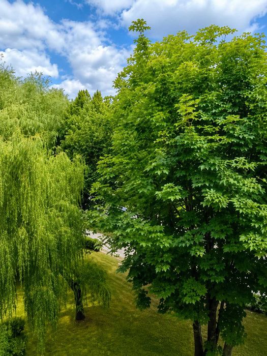 Mieszkanie – Kielce, Śródmieście - Widok 4