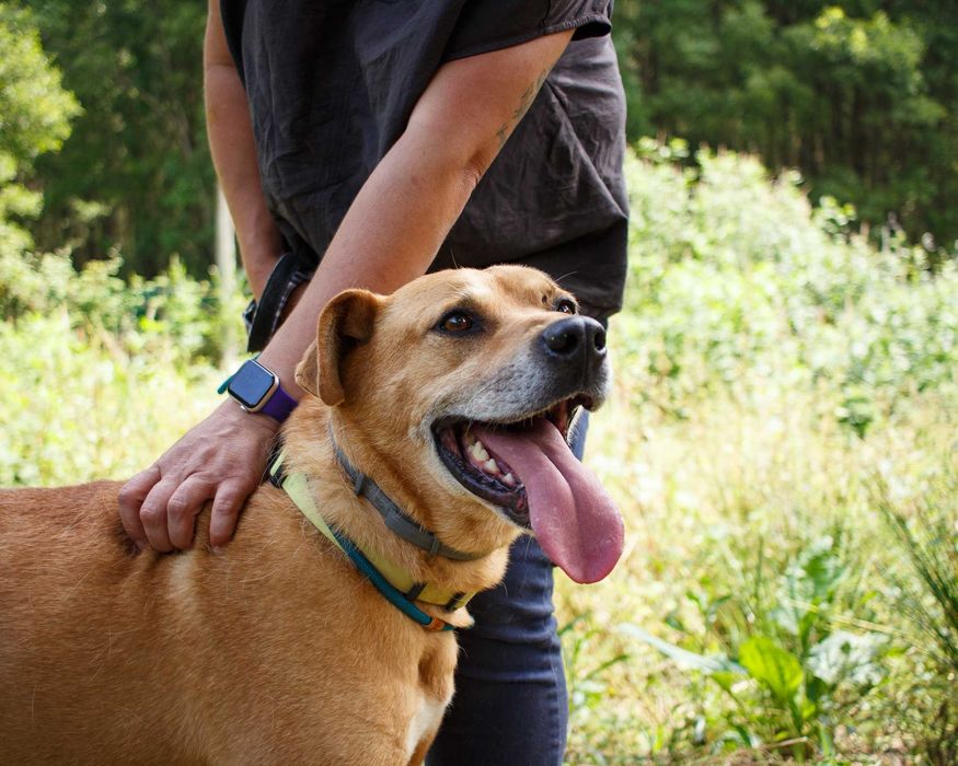 Para adoção, Miguel