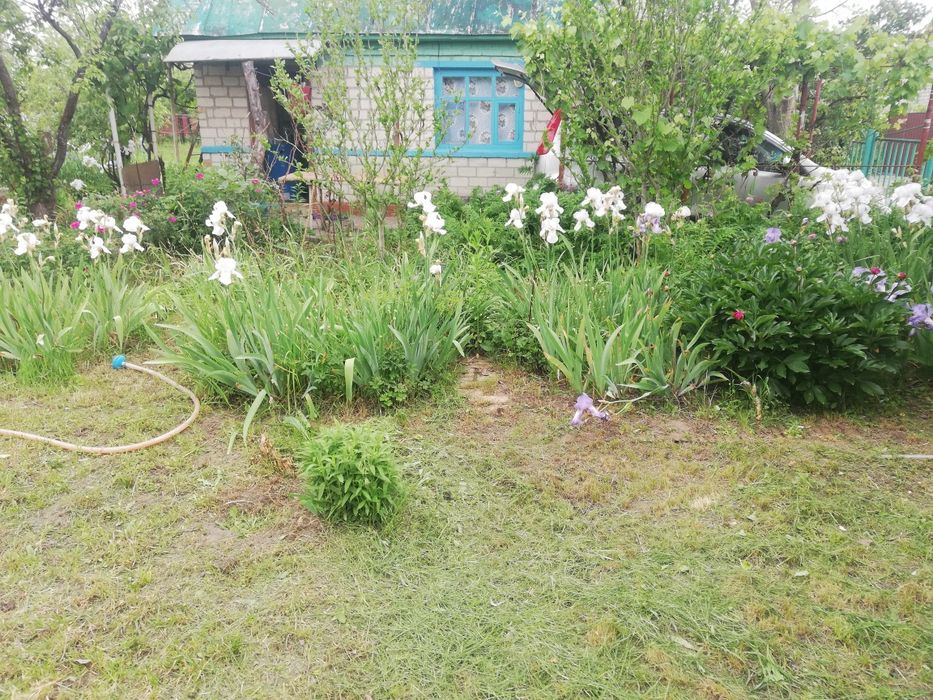 Дача з цегляним будинким кооператив Озон