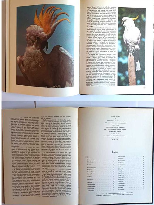 Enciclopédia do reino animal, vol 6 - sobre Aves, Verbo Juvenil 1970