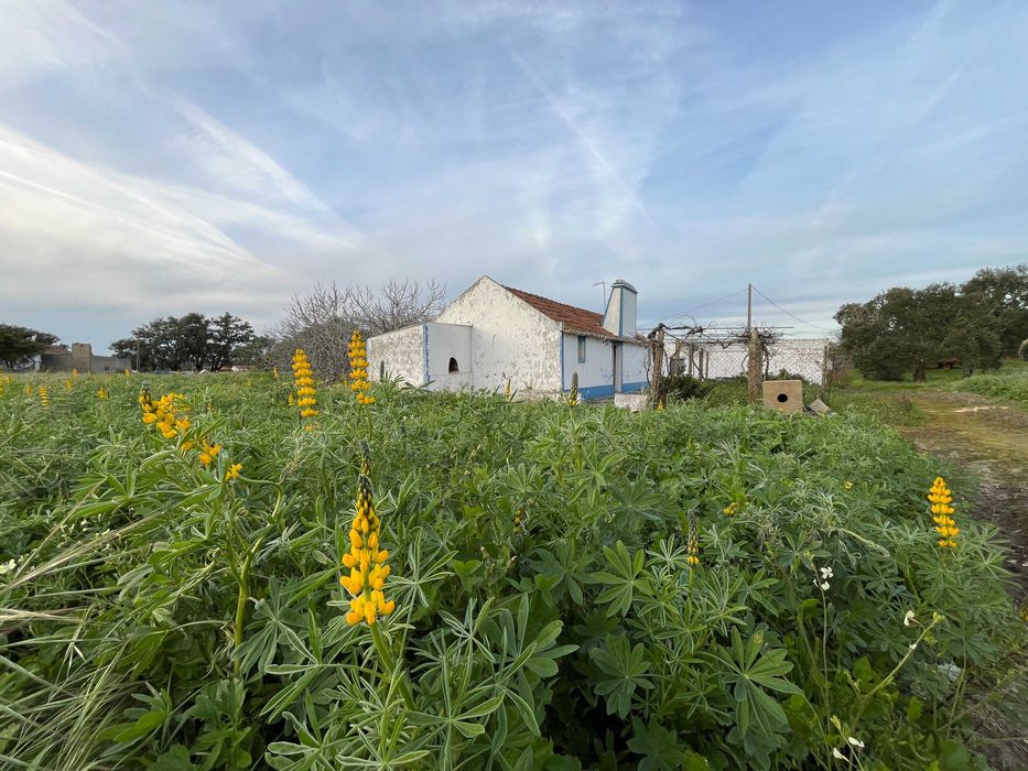 Terreno para venda 8713m2 em Pinheirinhos, Melides