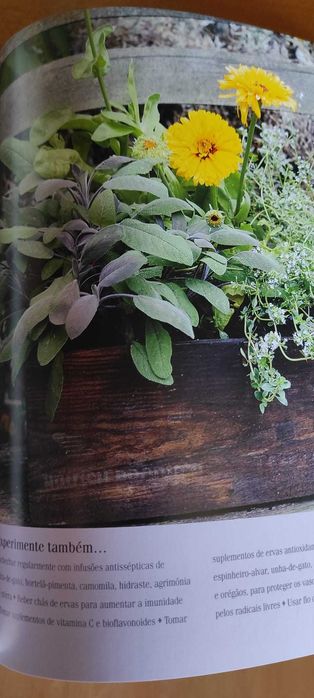 Cultive suas Plantas Medicinais do Clube Círculo de Leitores