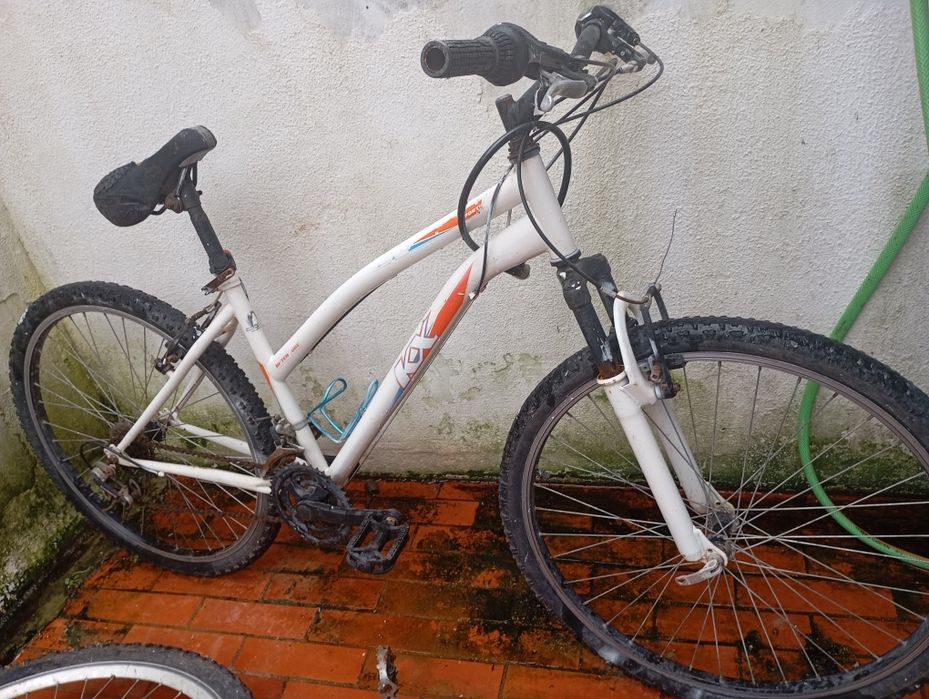 Bicicletas de adulto e jovem