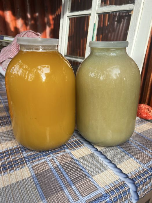 Мед  2025 года подсолнух и рапс