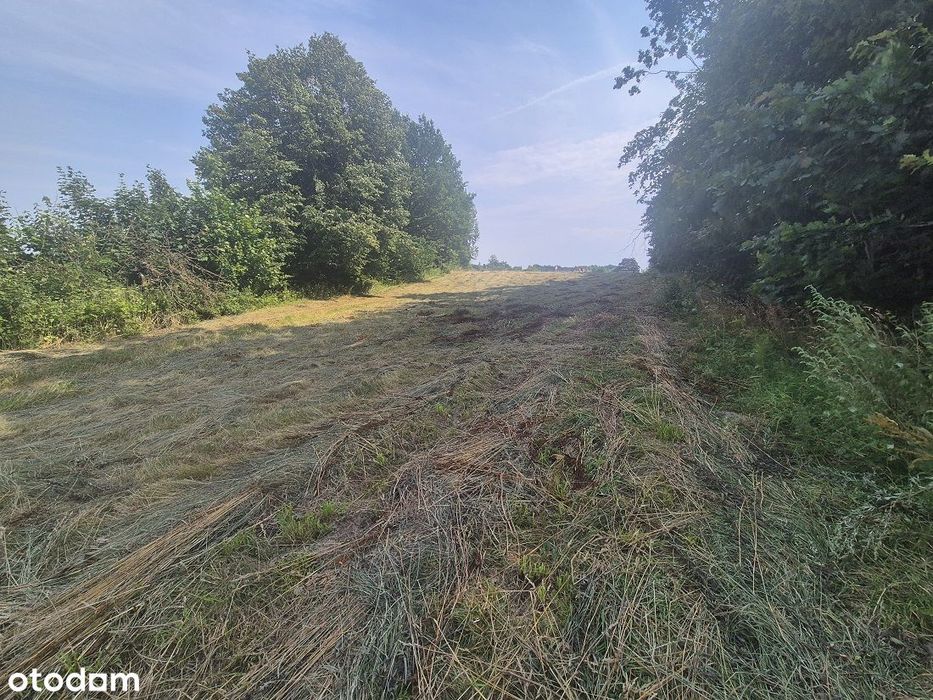 Działka rolno - budowlana w Stoczku Klasztornym