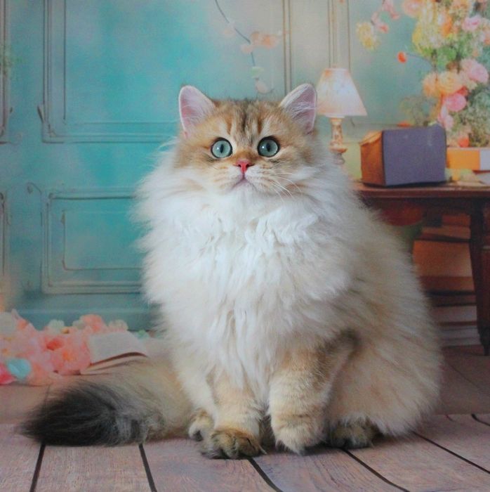 Надзвичайно ніжне дитя хоче до матусі