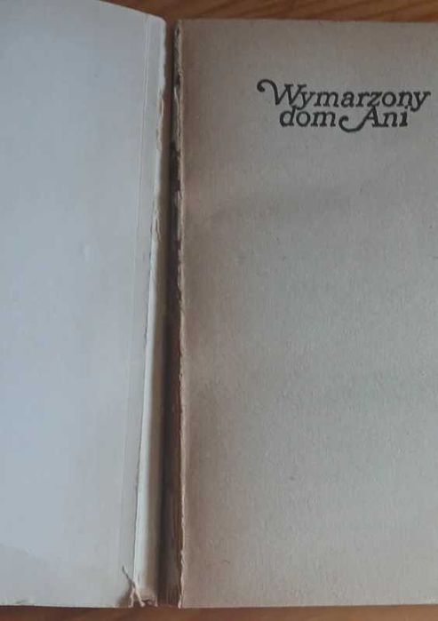 Wymarzony dom Ani - Lucy Maud Montgomery
