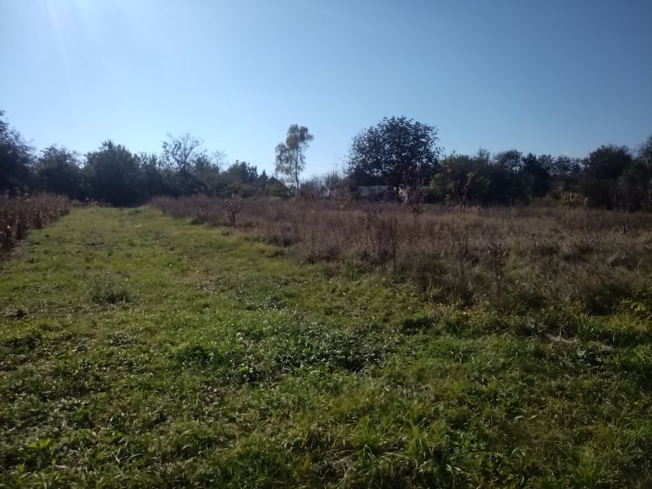 Продам земельну ділянку в с. Жуки