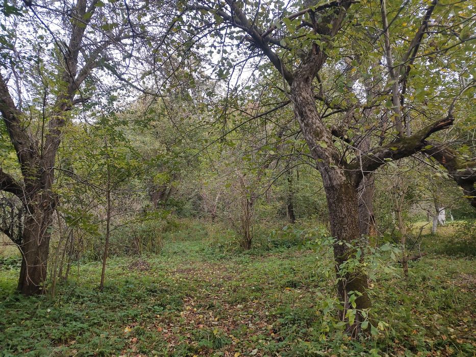 Продаж будинку з землею і садом