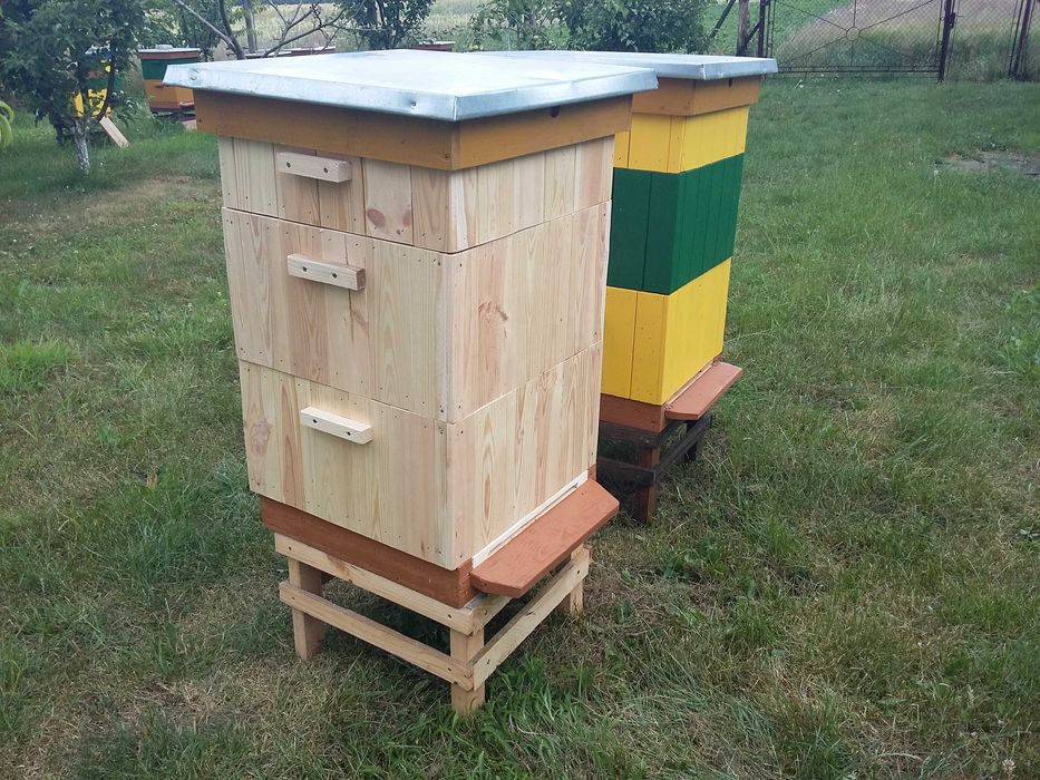 Ule Wielkopolskie  10 R  [Kompletny]nowe