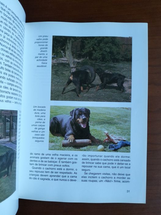 Livro Rottweiler - Coleção Habitat
